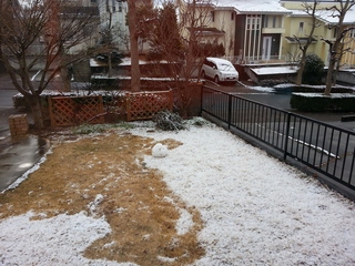 雪が降った朝