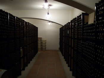 蒼龍の地下ワイン貯蔵庫